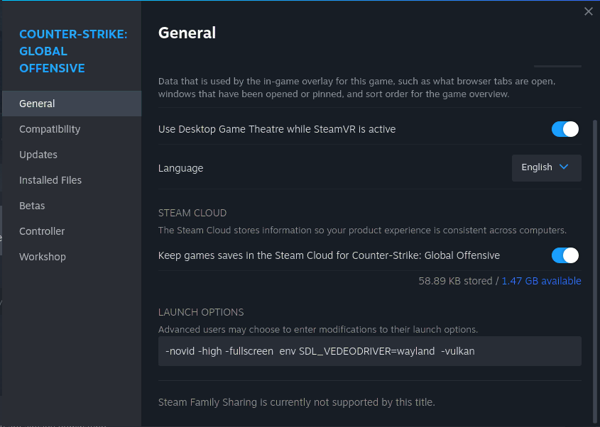Параметры запуска CS:GO в Steam для Wayland